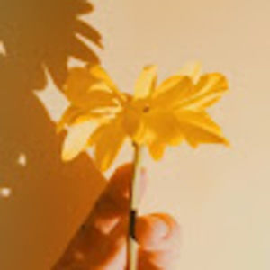 Meet your Posher, Rose